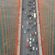Illustration for article titled Golden Gate Bridge: View From The Top